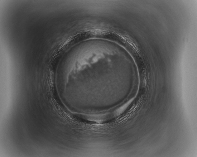 X0000116491301200912161310