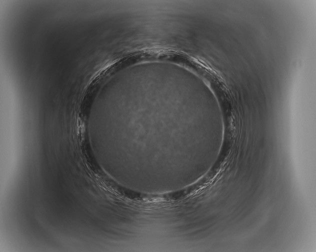 X0000116491302200912161310