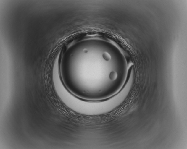 X0000116491303200912161310