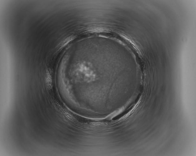 X0000116491305200912161310