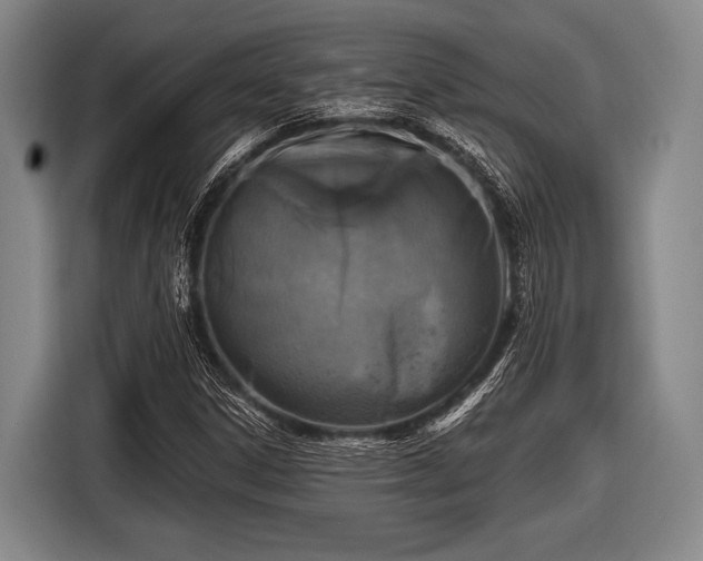 X0000116491306200912161310