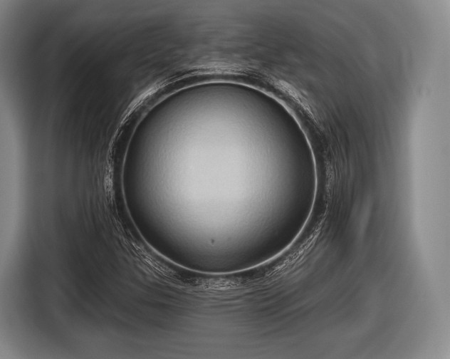 X0000116491307200912161310