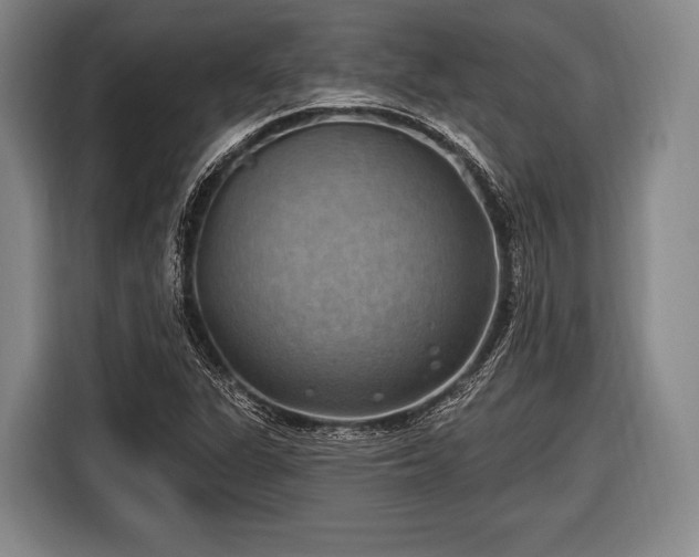 X0000116491311200912161310