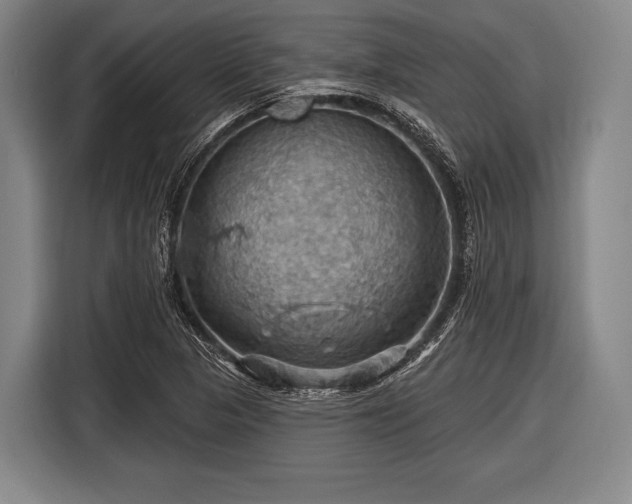 X0000116491313200912161310