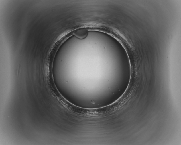 X0000116491315200912161311