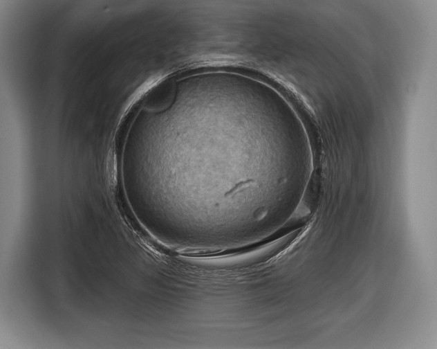 X0000116491317200912161311