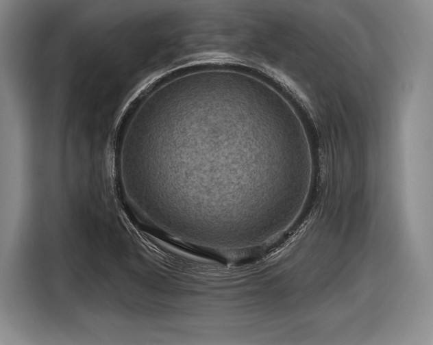 X0000116491318200912161311