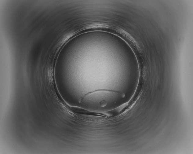 X0000116491321200912161311