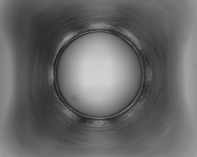 X0000116491322200912161311