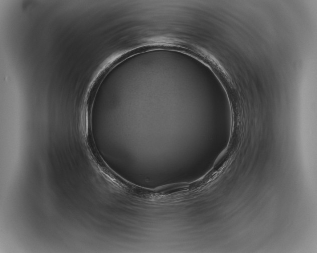 X0000116491323200912161311