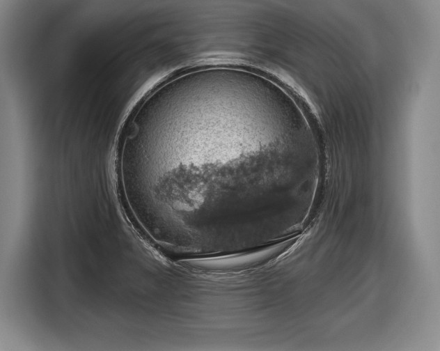 X0000116491325200912161311