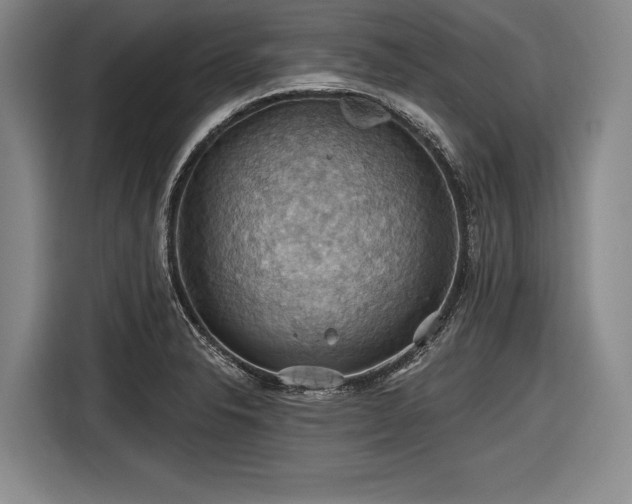 X0000116491326200912161311