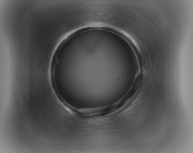 X0000116491327200912161311