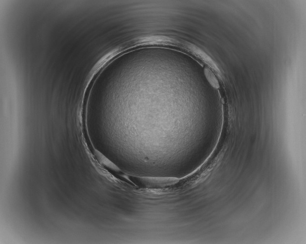 X0000116491330200912161311