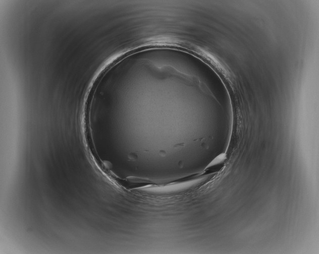 X0000116491331200912161311