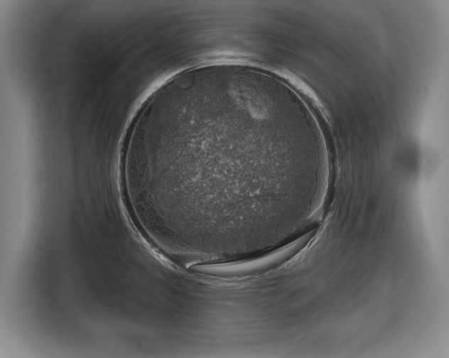 X0000116491333200912161311