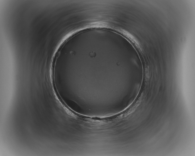 X0000116491334200912161311