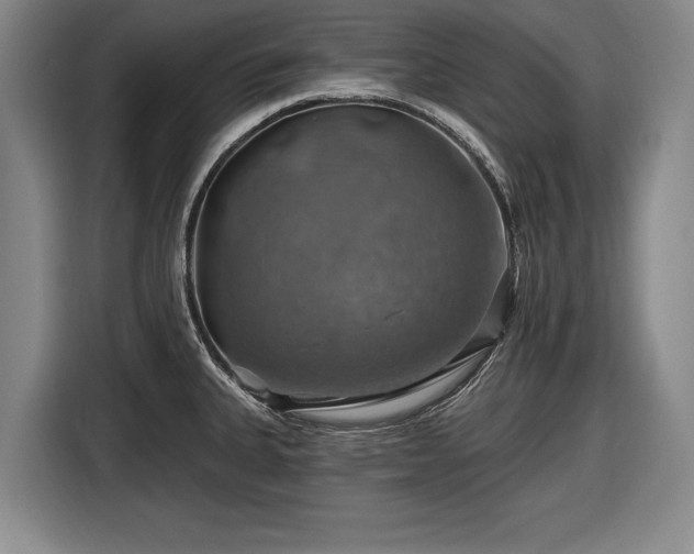 X0000116491335200912161311