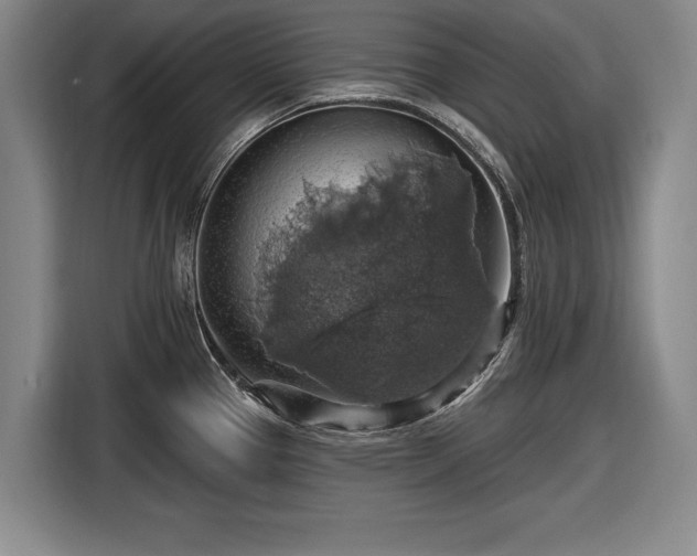 X0000116491337200912161311