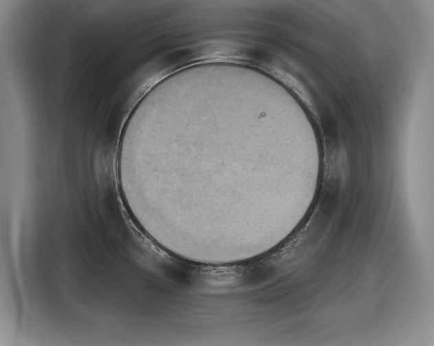 X0000116491338200912161311