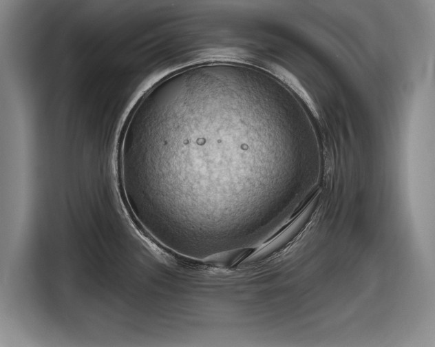 X0000116491339200912161311