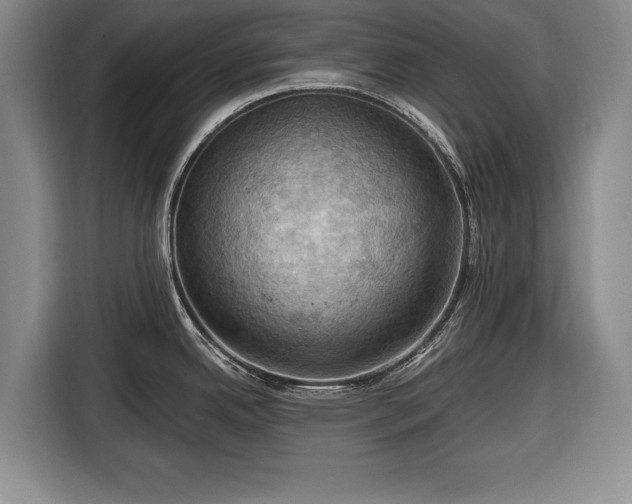 X0000116491342200912161311