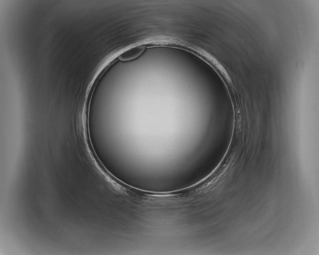 X0000116491343200912161311