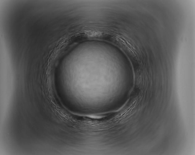 X0000116491345200912161310