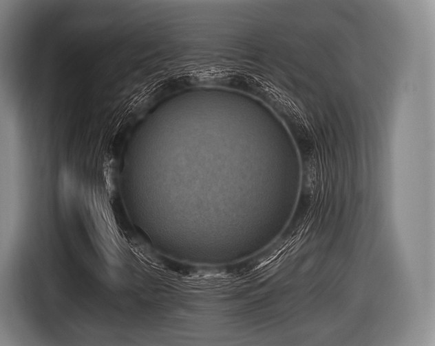 X0000116491346200912161310