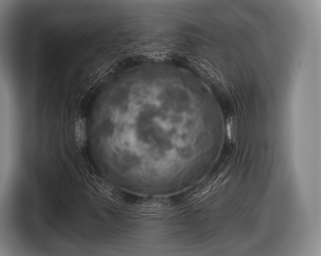 X0000116491347200912161310