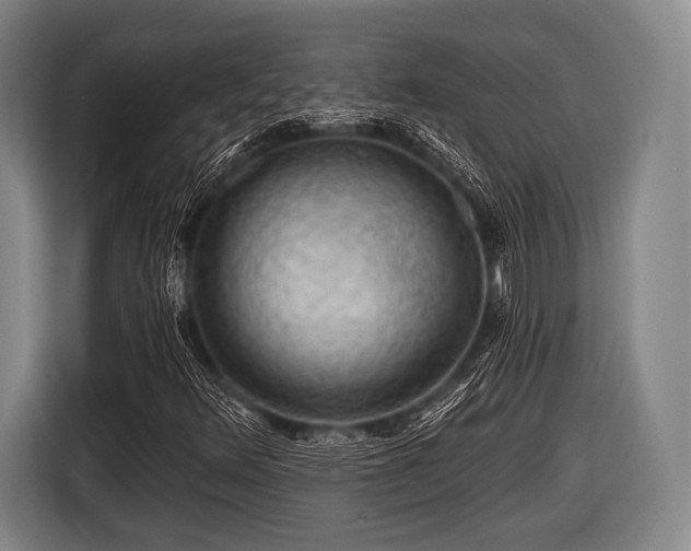 X0000116491348200912161310