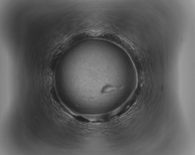 X0000116491349200912161310