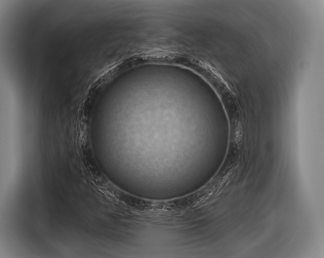 X0000116491350200912161310