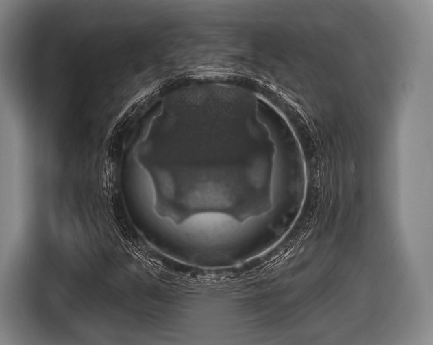 X0000116491351200912161310