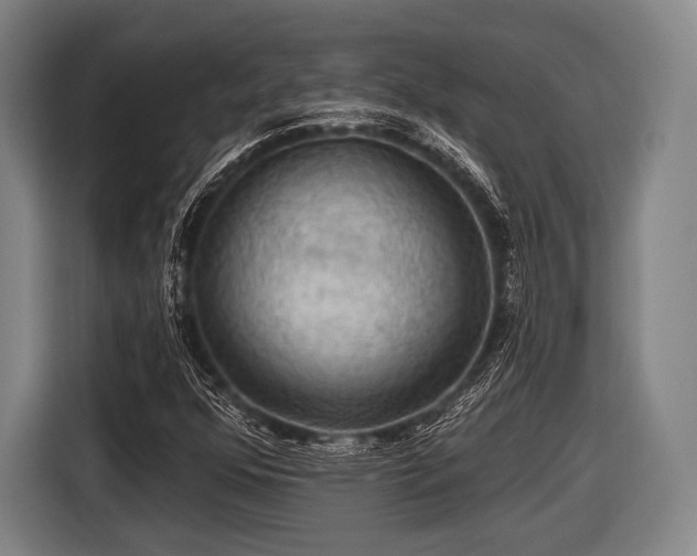 X0000116491352200912161310