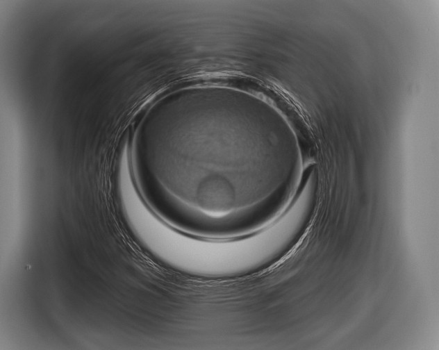 X0000116491353200912161310