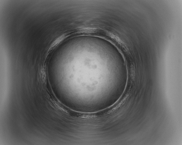 X0000116491354200912161310