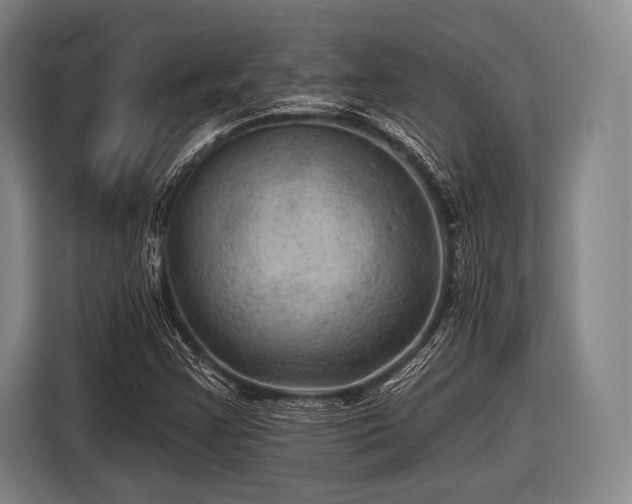 X0000116491355200912161310