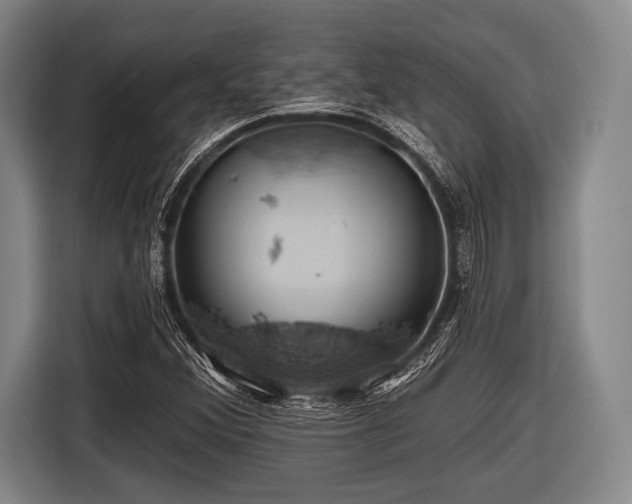 X0000116491356200912161310