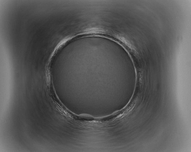 X0000116491358200912161310