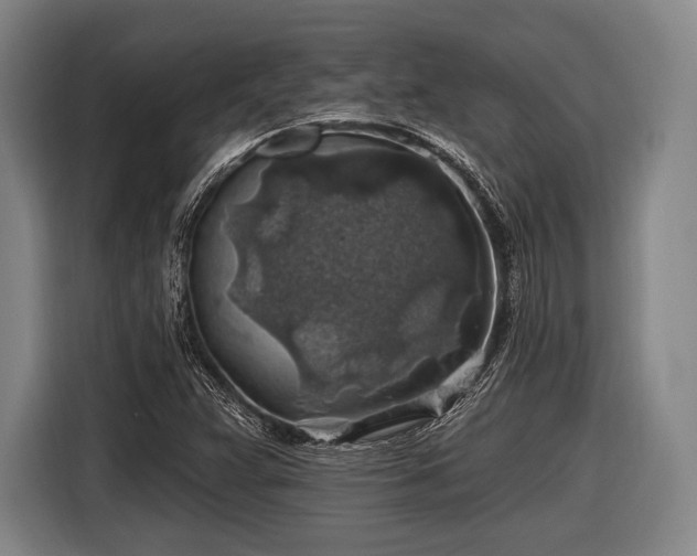 X0000116491359200912161310