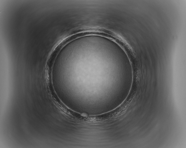 X0000116491360200912161310