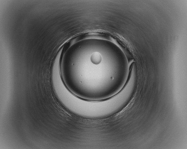 X0000116491361200912161310