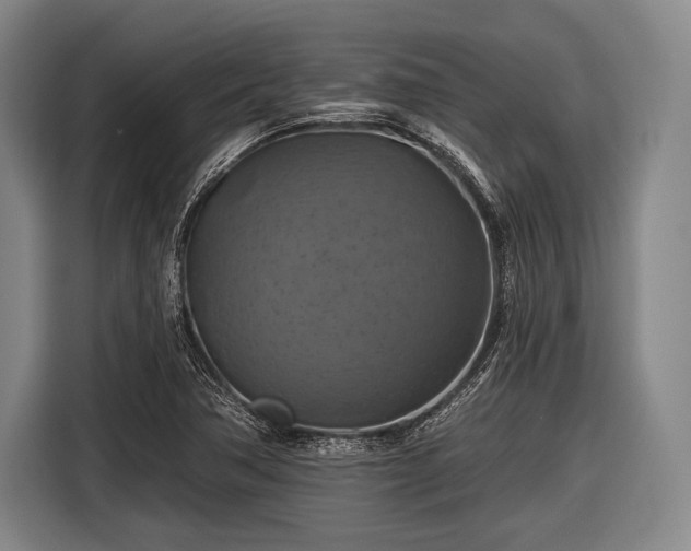 X0000116491362200912161310