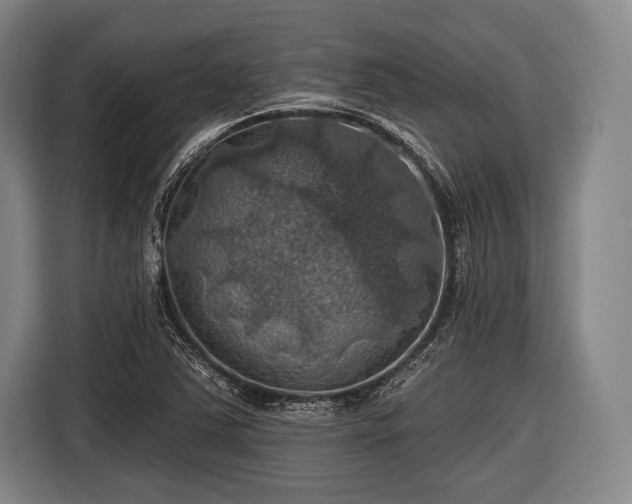 X0000116491363200912161310