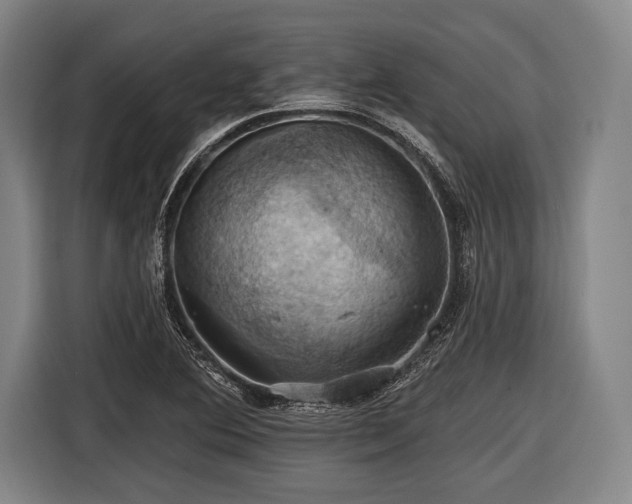 X0000116491364200912161310