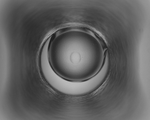 X0000116491365200912161310