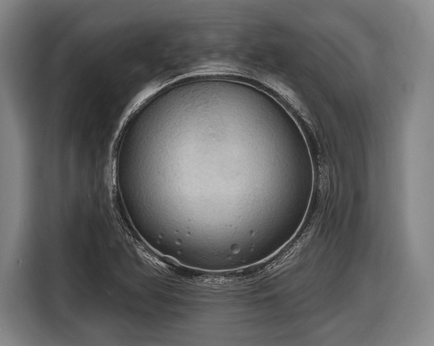 X0000116491366200912161310