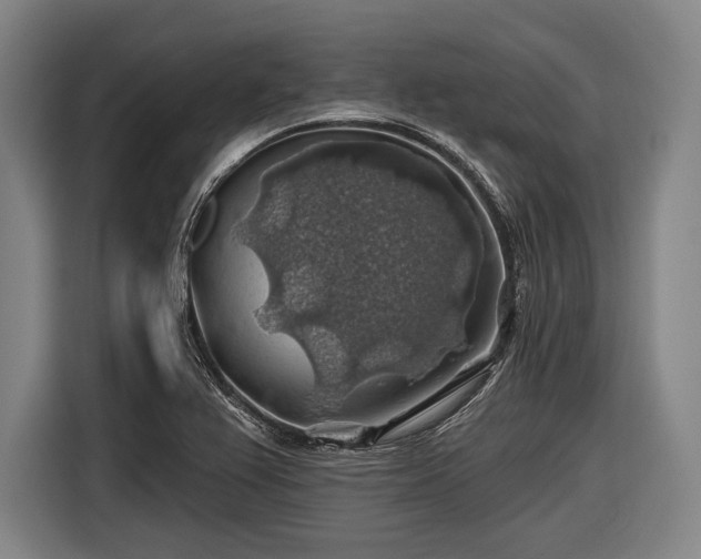 X0000116491367200912161310