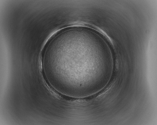 X0000116491368200912161310